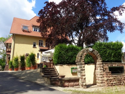 Foto: Quack in der Villa Weismüller